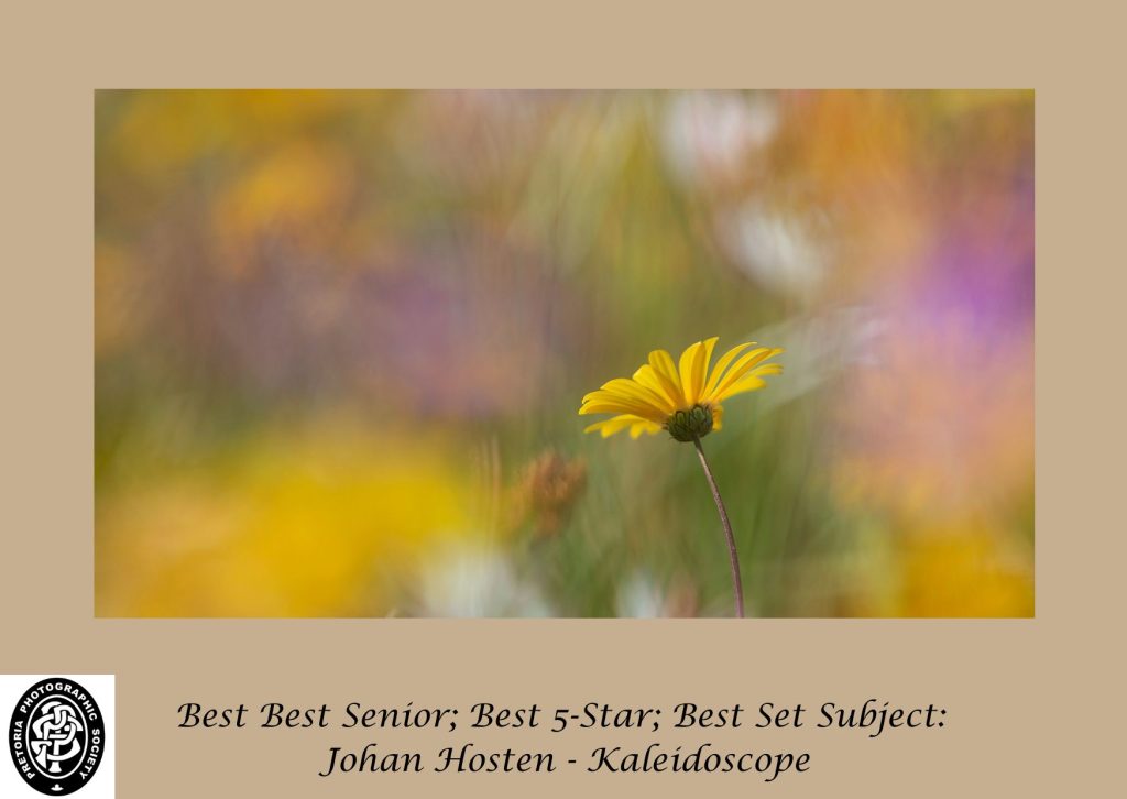This image has an empty alt attribute; its file name is 2-1024x726.jpg